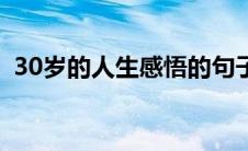 30岁的人生感悟的句子（30岁的人生感悟）