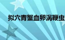 拟穴青蟹血卵涡鞭虫（拟穴青蟹的简介）