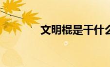文明棍是干什么的（文明棍）