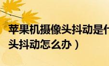 苹果机摄像头抖动是什么原因（苹果手机摄像头抖动怎么办）