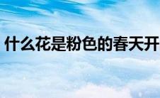 什么花是粉色的春天开的（什么花是粉色的）