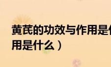 黄芪的功效与作用是什么?（黄芪的功效与作用是什么）