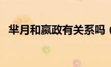 芈月和嬴政有关系吗（芈月和嬴政的关系）