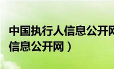 中国执行人信息公开网查询官网（中国执行人信息公开网）