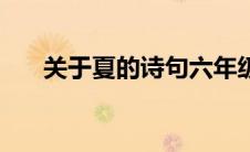 关于夏的诗句六年级（关于夏的诗句）