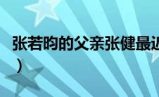 张若昀的父亲张健最近干什么（张若昀的父亲）