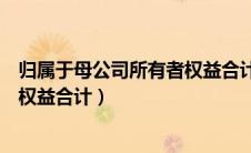 归属于母公司所有者权益合计怎么算（归属于母公司所有者权益合计）