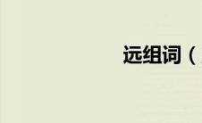 远组词（玉组词）