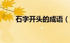 石字开头的成语（万字开头的成语）