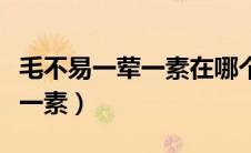 毛不易一荤一素在哪个综艺节目（毛不易一荤一素）
