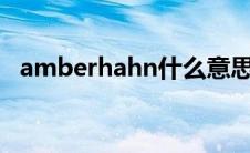 amberhahn什么意思（amber什么意思）
