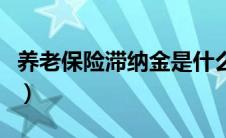 养老保险滞纳金是什么意思（养老保险滞纳金）