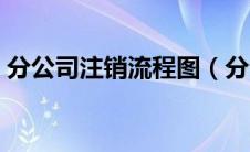 分公司注销流程图（分公司注销流程及材料）