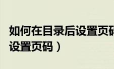 如何在目录后设置页码第一页（如何在目录后设置页码）