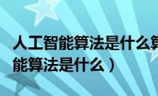 人工智能算法是什么算法最好理解的（人工智能算法是什么）
