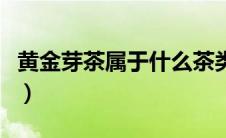 黄金芽茶属于什么茶类（黄金芽茶叶是什么茶）
