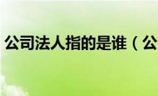 公司法人指的是谁（公司法人的意思是什么）