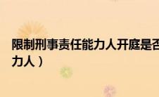 限制刑事责任能力人开庭是否需要监护人（限制刑事责任能力人）
