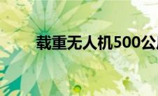 载重无人机500公斤多少钱（载重）