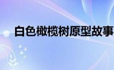 白色橄榄树原型故事（白色橄榄树原型）