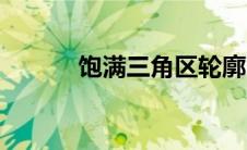 饱满三角区轮廓（饱满三角区）