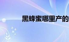 黑蜂蜜哪里产的最好（黑蜂蜜）