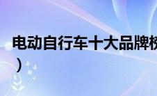 电动自行车十大品牌榜（电动自行车十大品牌）
