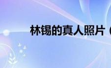 林锡的真人照片（林锡本人图片）