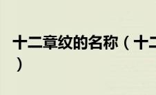 十二章纹的名称（十二章纹是用在什么服上的）