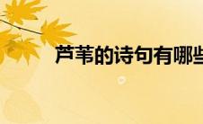 芦苇的诗句有哪些（芦苇的诗句）