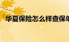 华夏保险怎么样查保单（华夏保险怎么样）