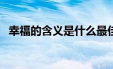 幸福的含义是什么最佳答案（幸福的含义）