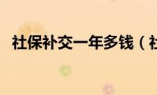 社保补交一年多钱（社保补缴一年多少钱）
