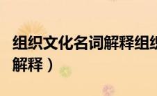 组织文化名词解释组织行为学（组织文化名词解释）