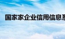 国家家企业信用信息系统（国家信用系统）