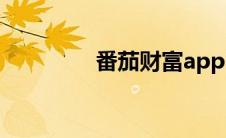 番茄财富app（番茄财富）