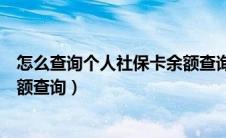 怎么查询个人社保卡余额查询不了（怎么查询个人社保卡余额查询）
