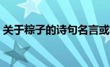 关于粽子的诗句名言或格（关于粽子的诗句）