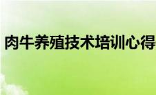 肉牛养殖技术培训心得体会（肉牛养殖技术）