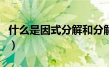 什么是因式分解和分解因式（什么是因式分解）