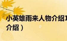 小英雄雨来人物介绍100字（小英雄雨来人物介绍）
