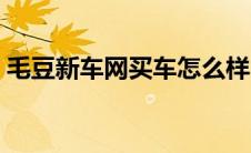 毛豆新车网买车怎么样（毛豆新车网靠谱么）