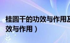桂圆干的功效与作用及食用方法（桂圆干的功效与作用）