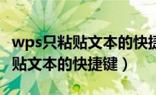 wps只粘贴文本的快捷键怎么设置（wps只粘贴文本的快捷键）