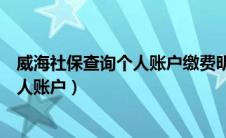 威海社保查询个人账户缴费明细查询（山东威海社保查询个人账户）