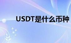 USDT是什么币种（usdt是什么币）