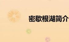 密歇根湖简介（密歇根湖）