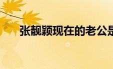 张靓颖现在的老公是谁（张靓颖老公）