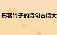 形容竹子的诗句古诗大全（形容竹子的诗句）