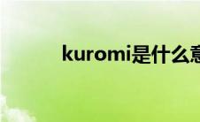 kuromi是什么意思（kuromi）